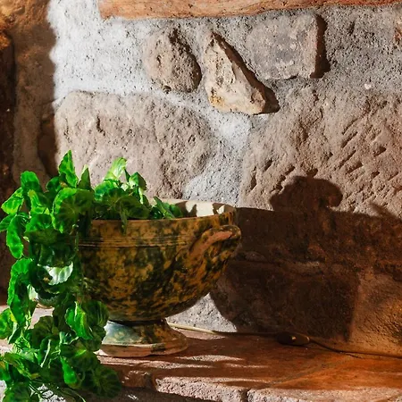 Nocleg ze śniadaniem Il Richiastro Medievale Viterbo